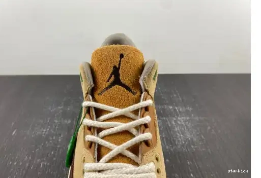 Brown”  “Green CT8532-103 3 Air CT8532-103 Jordan 0619